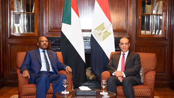وزير الخارجية يستقبل نظيره السودانى