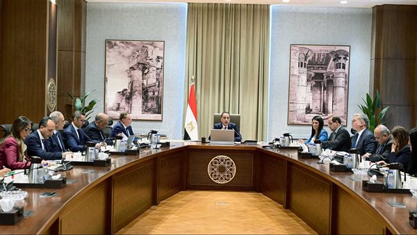 رئيس الوزراء يتابع موقف تنفيذ مشروعات الطاقة المتجددة