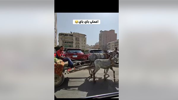 ضرب الحمار