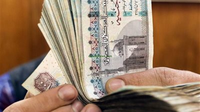 المرتبات