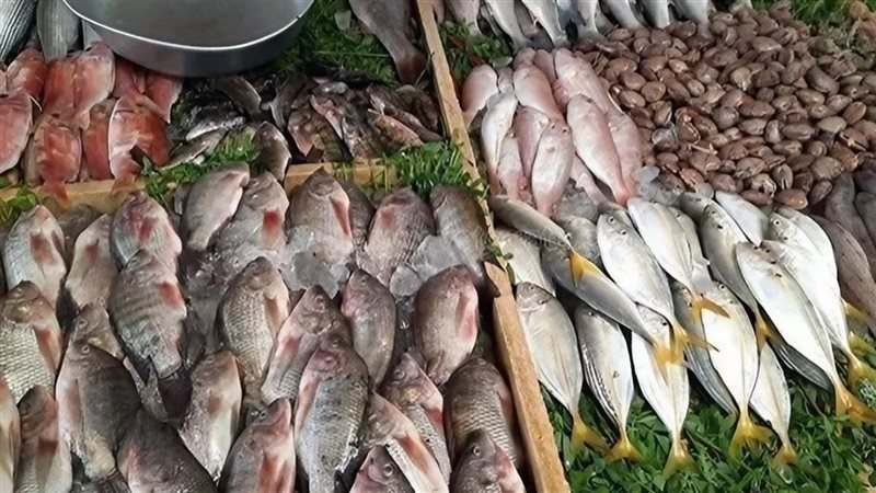 أسعار السمك اليوم