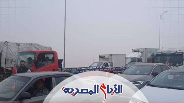 توقعات الشبورة غدا