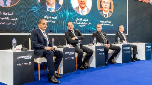 وزير المالية