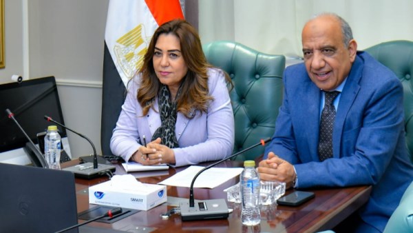 الكهرباء والتنمية المحلية