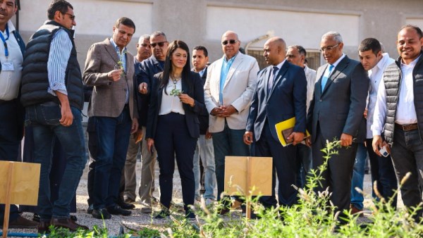 التخطيط  والزراعة والأوقاف 