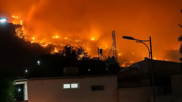  حرائق الغابات في الجزائر اليوم