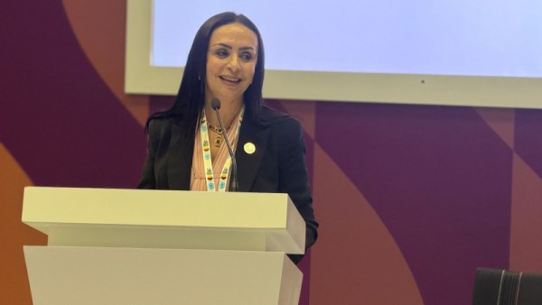 وزيرة التضامن الاجتماعي