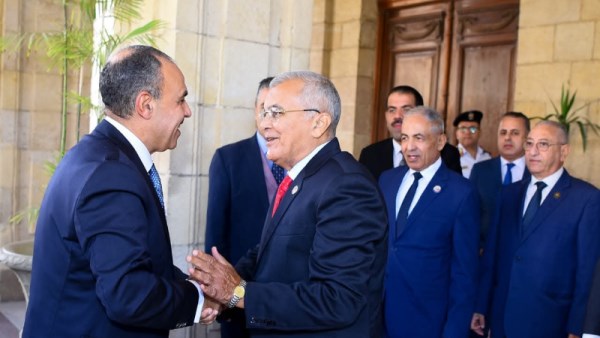 وزير الخارجية يلتقي رئيس مجلس الشيوخ