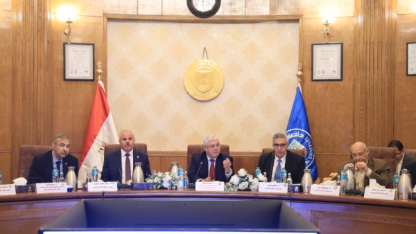 أيمن عاشور