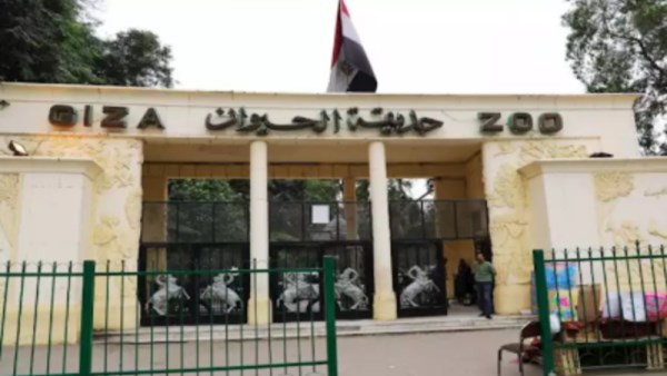 موعد افتتاح حديقة حيوان الجيزة 