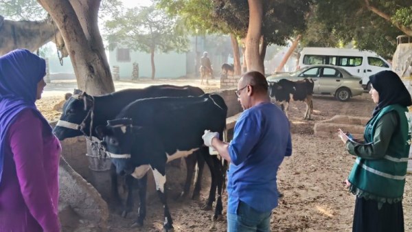 أعمال قافلة "التناسليات الحيوانية"