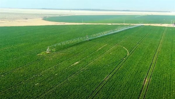 مشروع الدلتا الجديدة.. كيف يغيّر خريطة الإنتاج في مصر؟