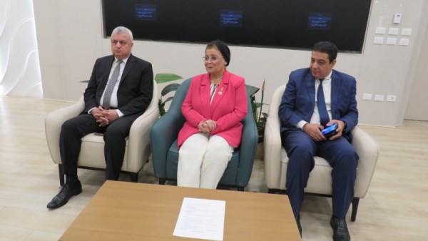 الدكتورة عبلة الألفي، نائب وزير الصحة والسكان