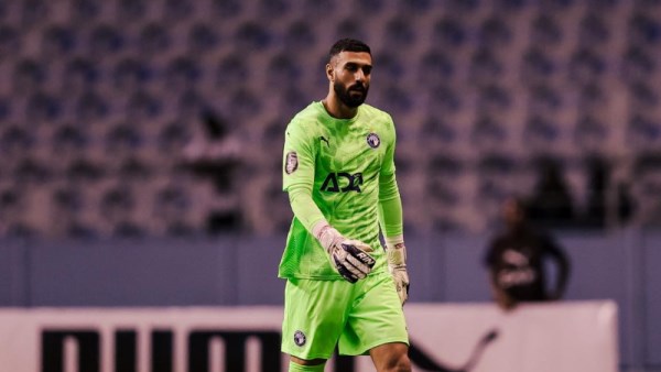 أحمد الشناوي