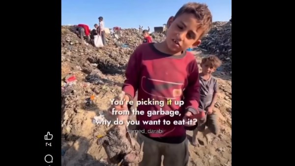 فراخ فاسدة في غزة