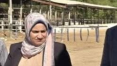 عقب الانتهاء فرز لجنة الانتخاب: مصرع مستشارة وموظفتين في انقلاب سيارة بقنا