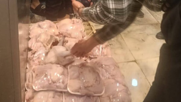 الدواجن الفاسدة المضبوطة 