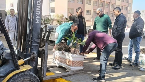 تطوير شارع العروبة