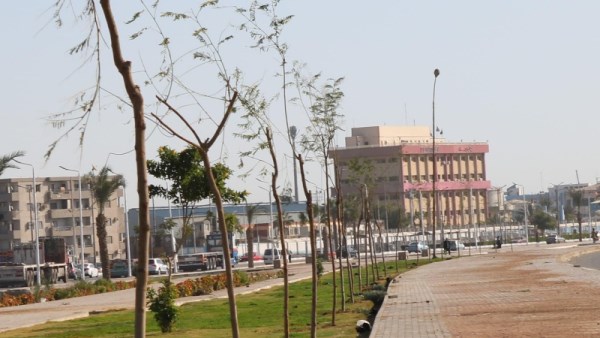 مبادرة «100 مليون شجرة» بالسويس