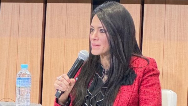 وزيرة التخطيط