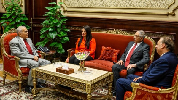 التخطيط ومجلس الشيوخ