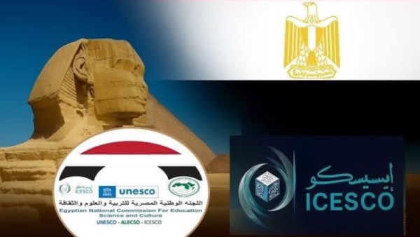 التعليم العالي