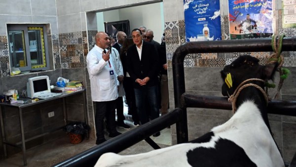 مدبولي يتفقد الوحدة البيطرية بقرية "نوى"