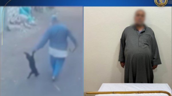 واقعة قتل قطة 
