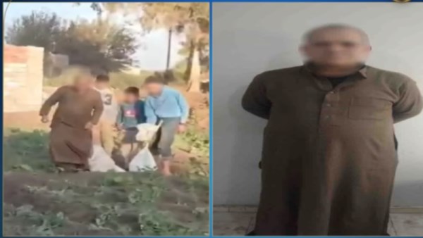 واقعة تعذيب حيوانات بالغربية