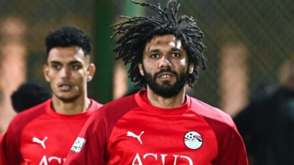 محمد النني