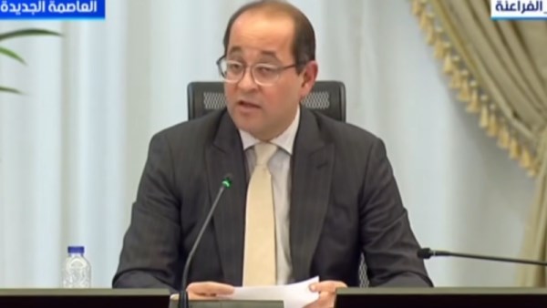 أحمد كجوك، وزير المالية