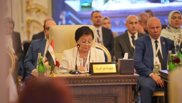 الدكتورة عبلة الألفي نائب وزير الصحة