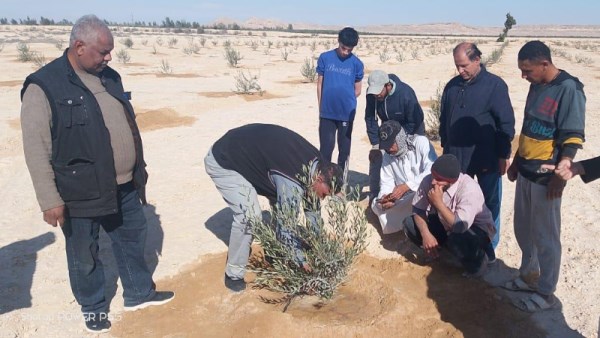 وزارة الزراعة 