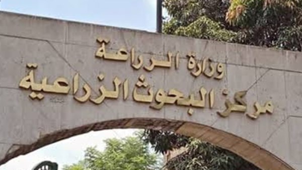 مركز البحوث الزراعية 