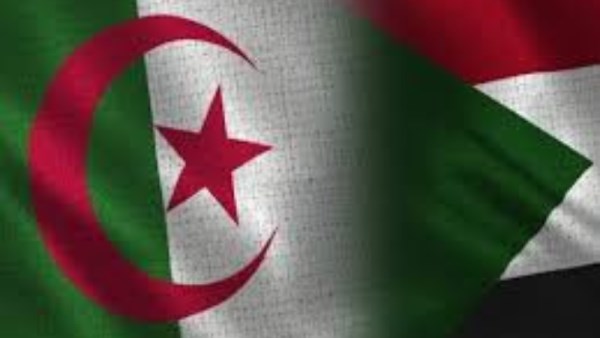 منتخب الجزائر