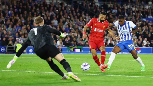 ليفربول وبرايتون 