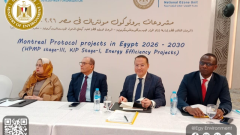 البيئة تنظم ورشة عمل مع اليونيدو لاستعراض مشروعات حماية طبقة الأوزون
