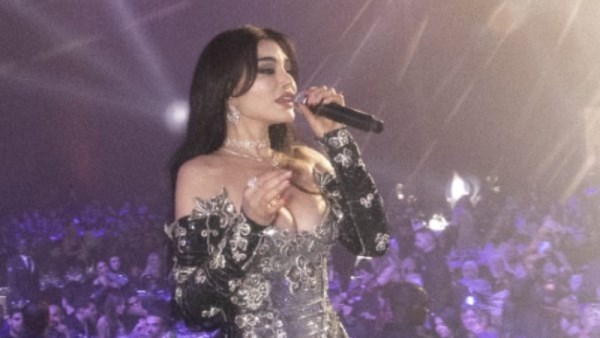 الفنانة هيفاء وهبي