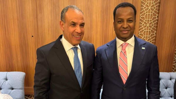 وزير الخارجية المصري ووزير الخارجية الصومالي الفيدرالية