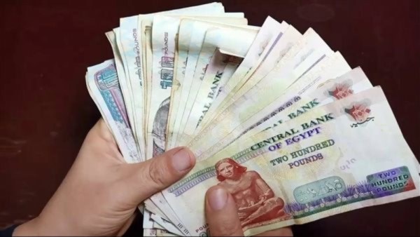  زيادة 26.6% في متوسط الأجور