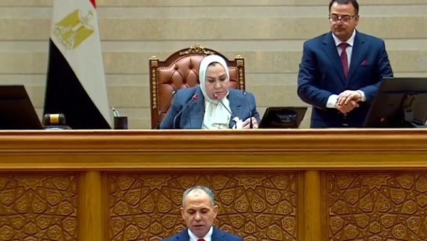 المجلس القومي للمرأة