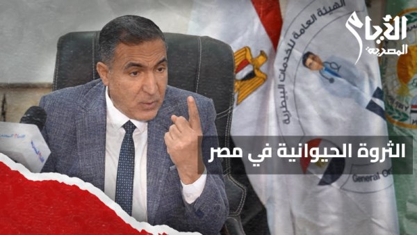 كواليس أخطر وباء ضرب مصر عام 2012