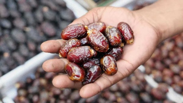 صادرات التمور المصرية
