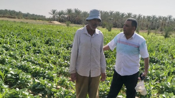 بحوث الصحراء 