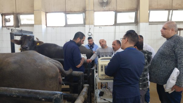 جانب من الفحوصات