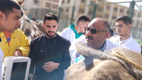 جانب من الفحوصات 