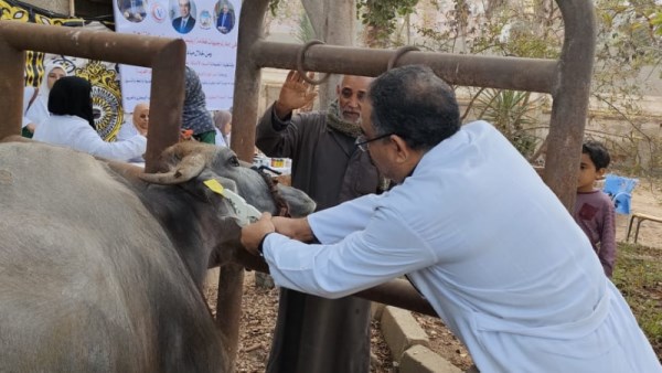 جانب من التحصين 
