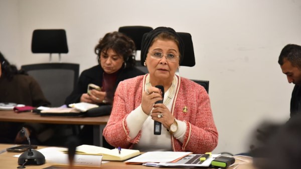 الدكتورة عبلة الألفي نائب وزير الصحة