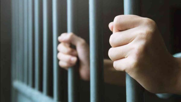المؤبد لـ 4 أشخاص متهمين بـ قتل شاب فى القليوبية 
