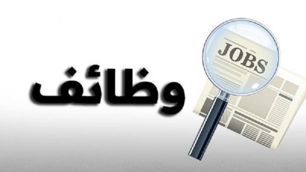 وظائف مجلس الدولة 2026، التفاصيل الكاملة ورابط التقديم 